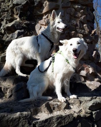 Vom Rammenauer Schloßblick