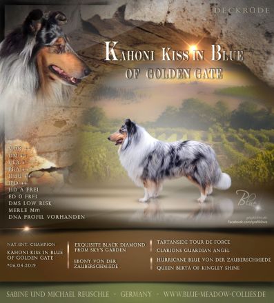 Kahoni Kiss in blue of Golden Gate