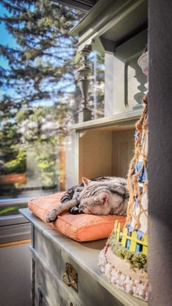 Alvin (Lenin von der Rift Valley)