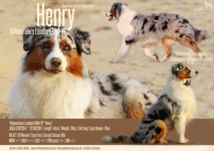 Yellowstone's Landlord "Henry"