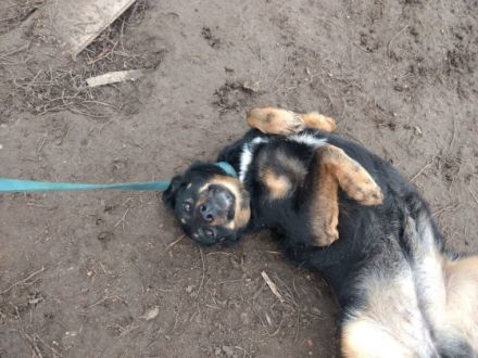 Peggy sucht eine ruhige ausgeglichene Familie