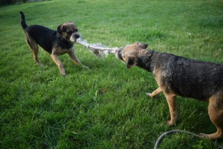 Balthazar Fayden PSI Mysteria