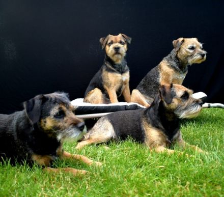 Balthazar Fayden PSI Mysteria