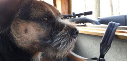 Balthazar Fayden PSI Mysteria