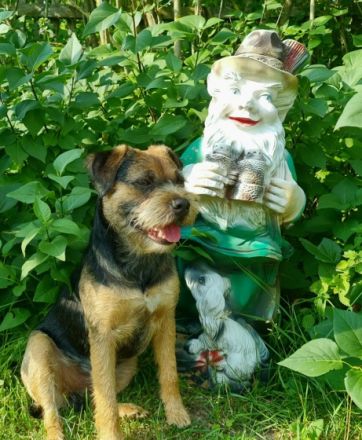 Balthazar Fayden PSI Mysteria