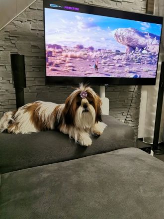 Henry Otto Kingdom is in Roksolanakh