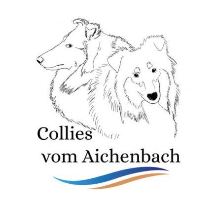 Collies vom Aichenbach