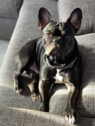 Karamoja Bell's Tutti Frutti Üepe