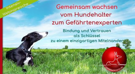 vom Hundehalter zum Gefährtenexperten 13.05.25