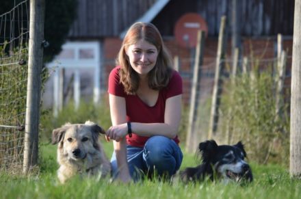 Hundetraining Denise Heimann