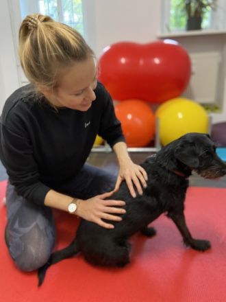 Rosalie Möller Tierphysiotherapie