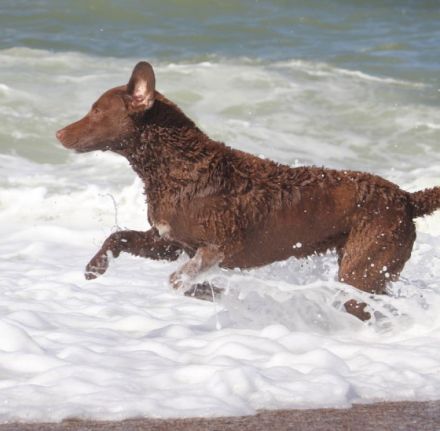 von der Mondschneise