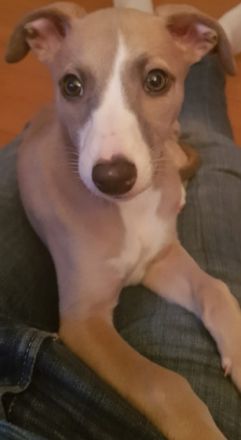 from Rawert`s finest