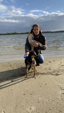 Tierheilpraxis Stefanie Baltes