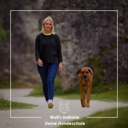 Wolf's Instinkte - Deine Hundeschule