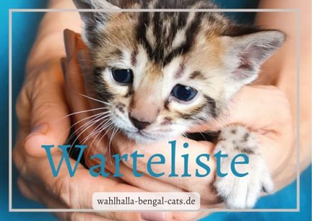 Wurfankündigung In wenigen Tagen ist es soweit,