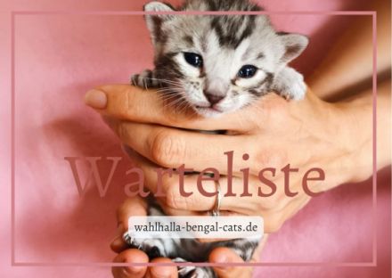 Wurfankündigung In wenigen Tagen ist es soweit,