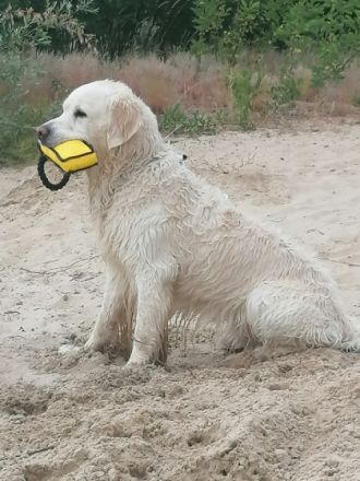 Eero Samu Antero Rufname Samu