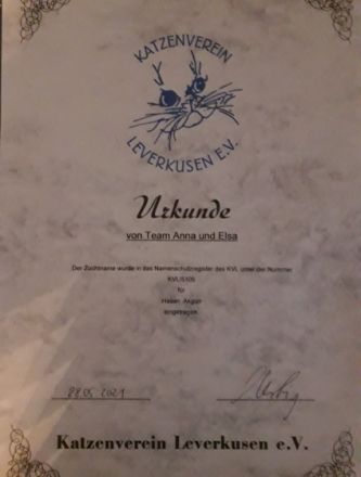 Von Team Anna und Elsa