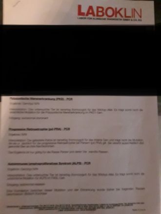 Von Team Anna und Elsa