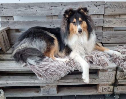 von der Brettachwiese