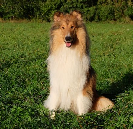 von der Brettachwiese