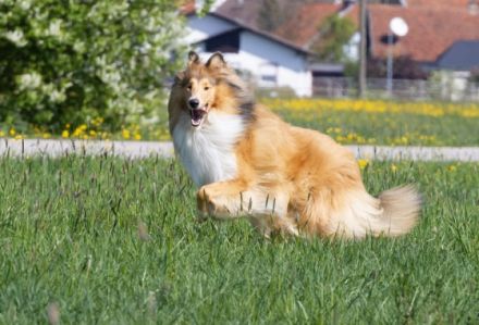 von der Brettachwiese