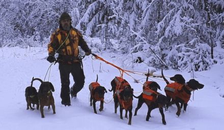 von Widarshall (FCI)