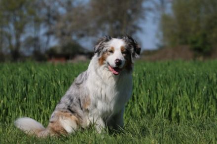 Lightmyfire's You Never Walk Alone DNA-VP