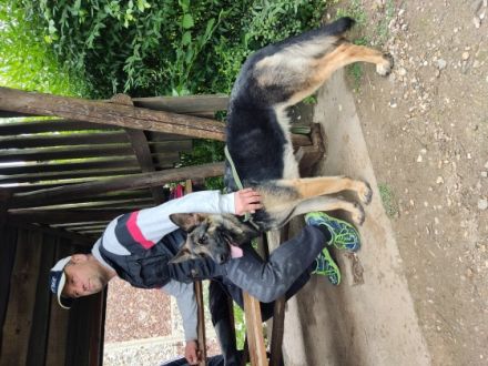 Von den wilden Schwarzen