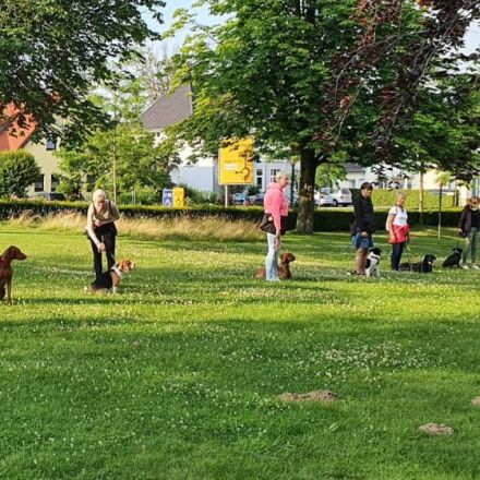 Hundeschule HST Osnabrück