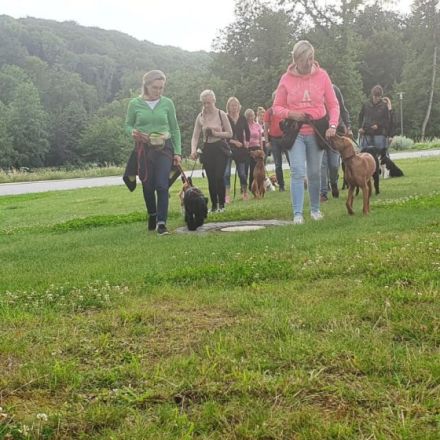Hundeschule HST Osnabrück