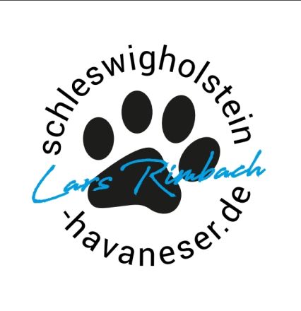 Schleswigholstein-Havaneser