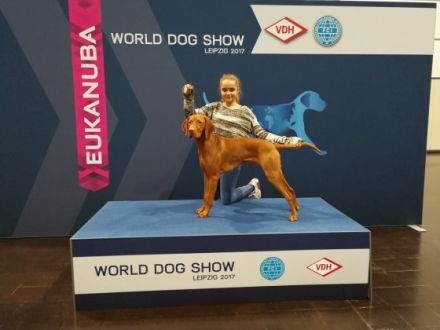 Maylo Falco Magyar Tim