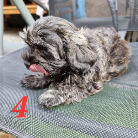 Die kleinen sind am 03.05.22 auf die Welt gekommen..