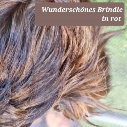 Die kleinen sind am 03.05.22 auf die Welt gekommen..