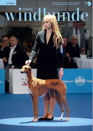 Unser außergewöhnlich schöner und seltener Azawakh-Wurf