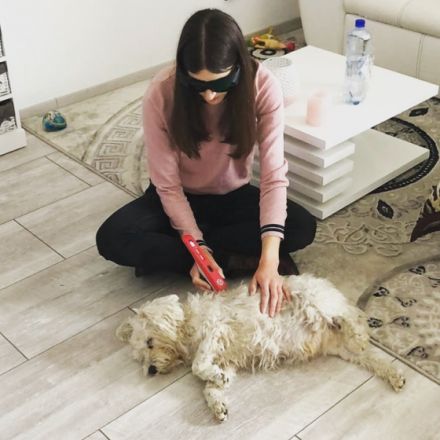 Tierphysiotherapie und Akupunktur Ricarda Nikolayzik