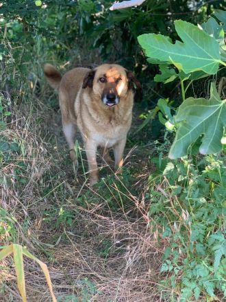Mamy - wartet darauf entdeckt zu werden🥰🍀