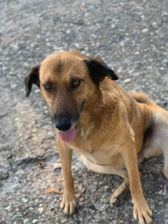 Mamy - wartet darauf entdeckt zu werden🥰🍀