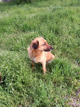 Mamy - wartet darauf entdeckt zu werden🥰🍀