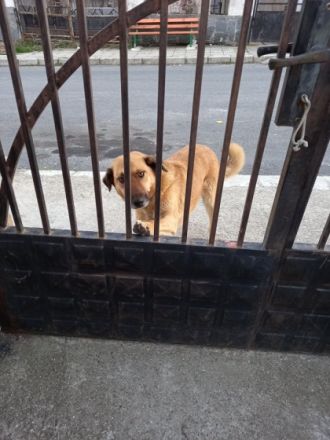 Mamy - wartet darauf entdeckt zu werden🥰🍀