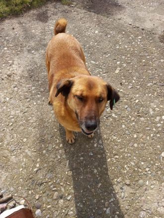 Mamy - wartet darauf entdeckt zu werden🥰🍀