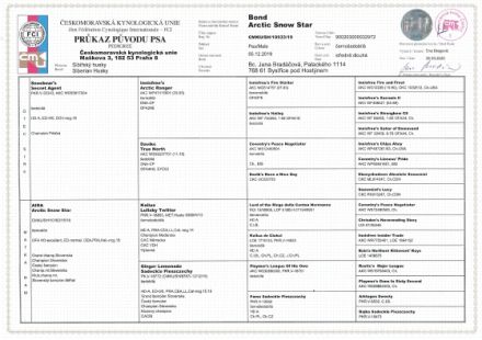 Bond Arctic Snow Star