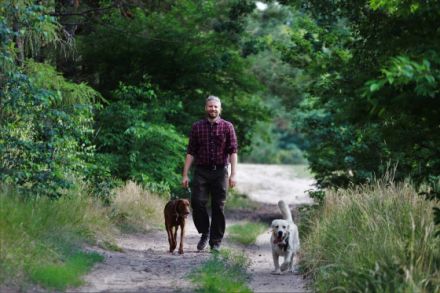 Die Gefährten Dogwalking Potsdam