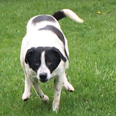 Name: Blanco haben wir aus Constanta gerettet; er war