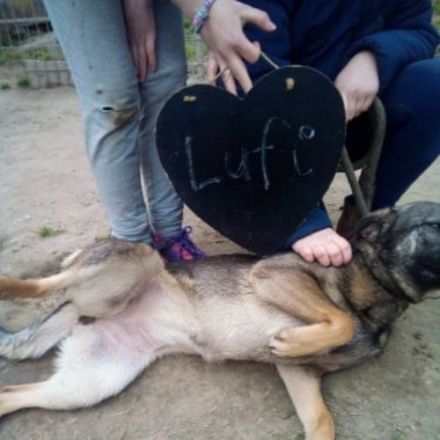 Lufi, Unsere Mutter Nyunyu hat man hochträchtig in der