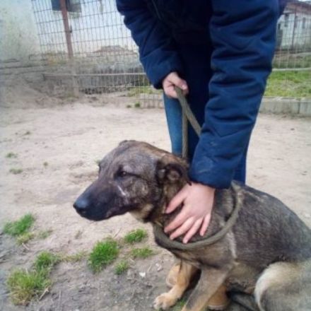 Lufi, Unsere Mutter Nyunyu hat man hochträchtig in der