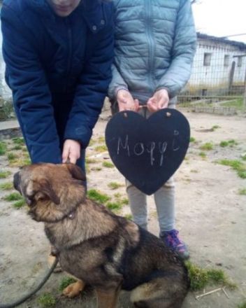 Mogyi, Unsere Mutter Nyunyu hat man hochträchtig in der