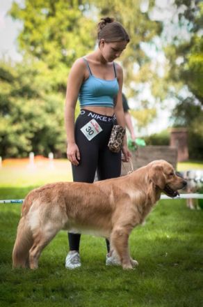 Pharao Tales of Mystery